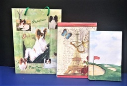 Small Papillon gift bag with various note pads